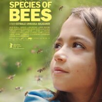 20.000 especies de abejas POSTER