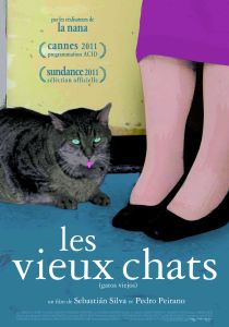 Les vieux chats