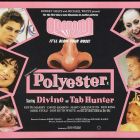 Photo Polyester