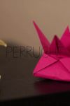 Perruche