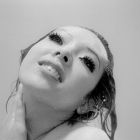 Photo Les funérailles des roses