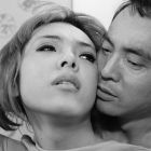 Photo Les funérailles des roses