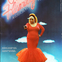Pink Flamingo